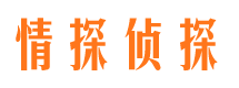 天台侦探公司